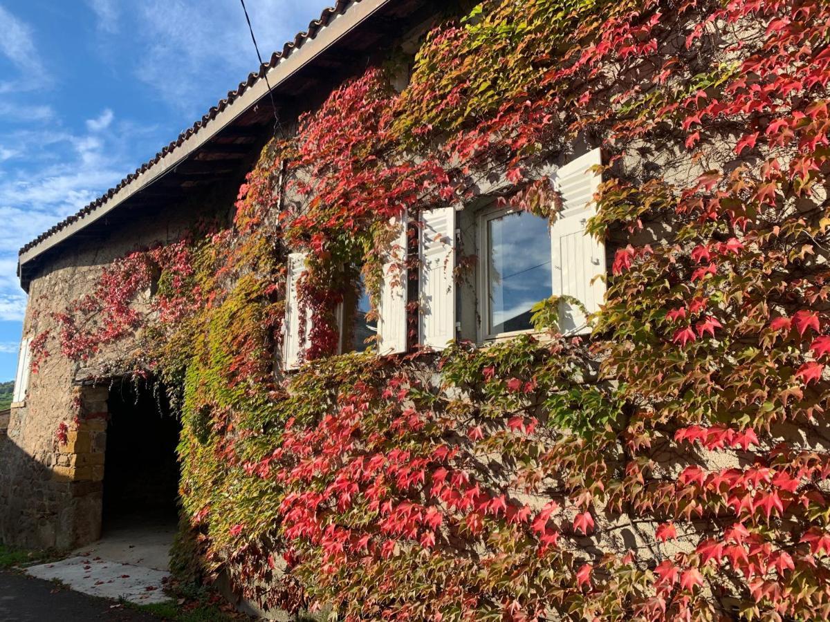 Le Gite De Buffetieres Saint-Romain-de-Popey Exterior photo